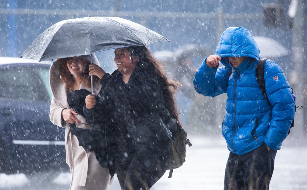 protect-and-stay-informed-after-cyclone-hit