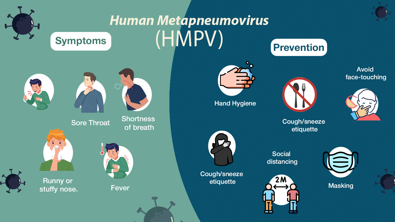 Human metapneumovirus